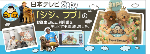 ZIP取材
